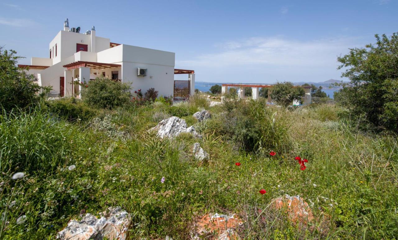Apartmán Phenωmena *