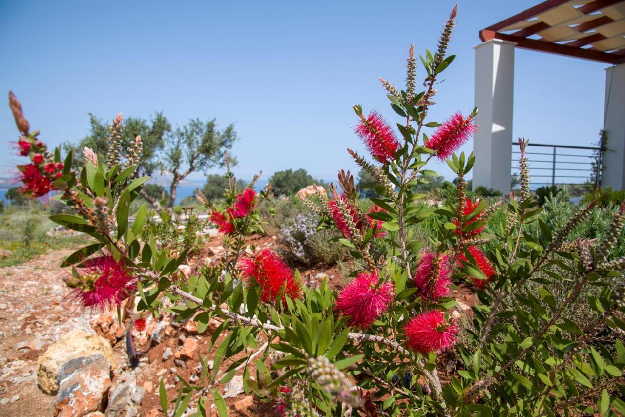 Apartmán Phenωmena Kokkino Chorio